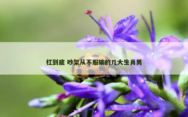 杠到底 吵架从不服输的几大生肖男