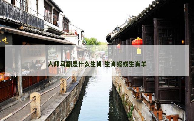 人仰马翻是什么生肖 生肖猴或生肖羊