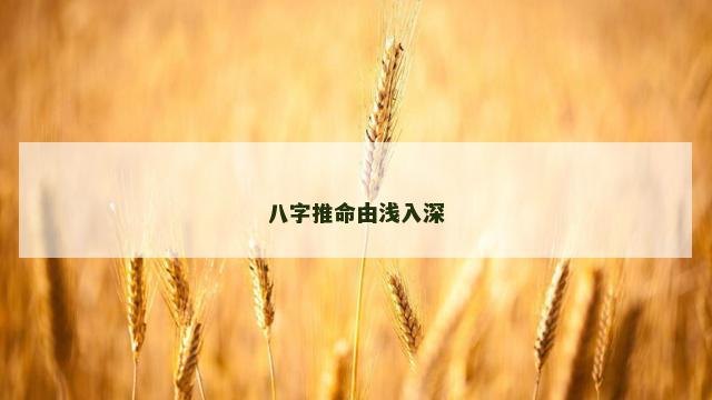 八字推命由浅入深