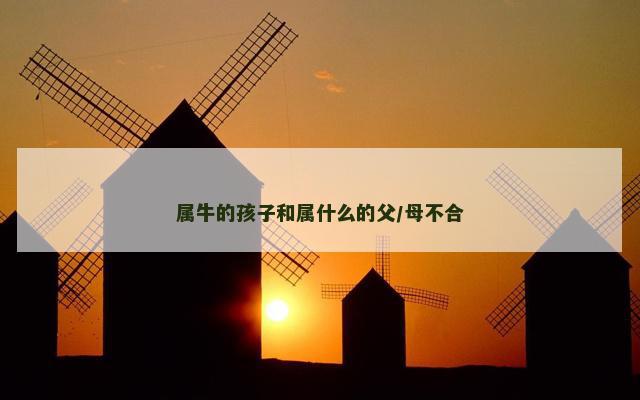 属牛的孩子和属什么的父/母不合