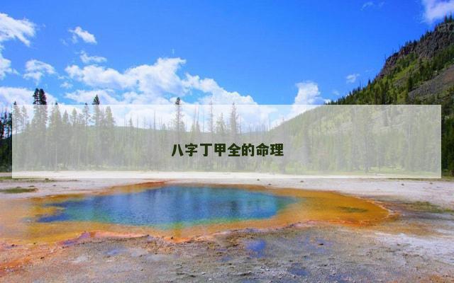 八字丁甲全的命理
