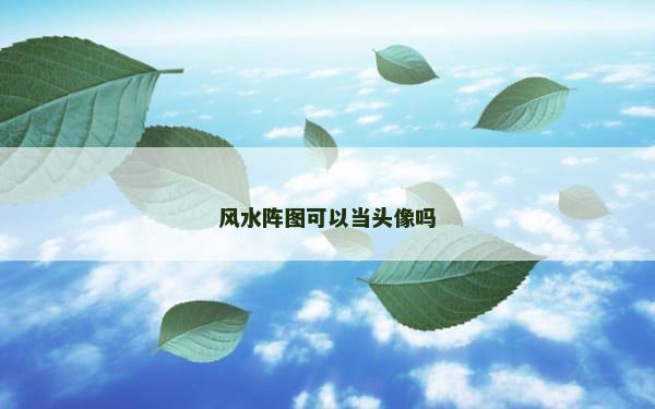 风水阵图可以当头像吗