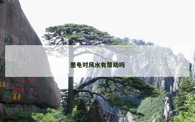 墨龟对风水有帮助吗