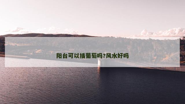 阳台可以插葡萄吗?风水好吗