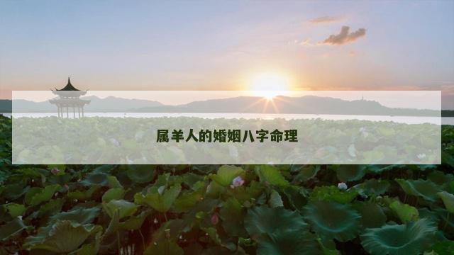 属羊人的婚姻八字命理