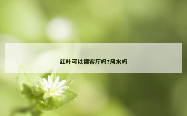 红叶可以摆客厅吗?风水吗