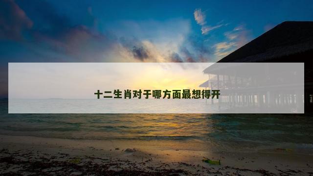 十二生肖对于哪方面最想得开