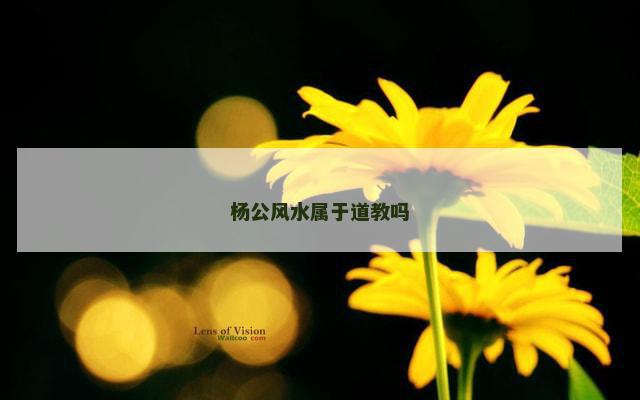 杨公风水属于道教吗