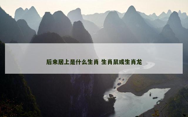 后来居上是什么生肖 生肖鼠或生肖龙