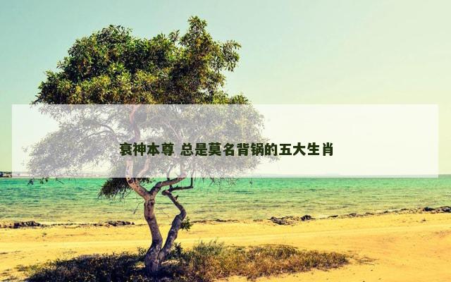 衰神本尊 总是莫名背锅的五大生肖