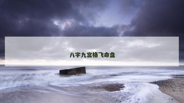 八字九宫格飞命盘