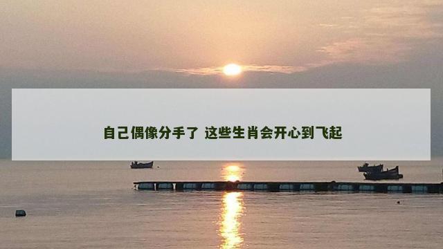 自己偶像分手了 这些生肖会开心到飞起