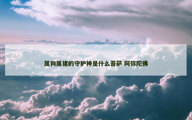 属狗属猪的守护神是什么菩萨 阿弥陀佛