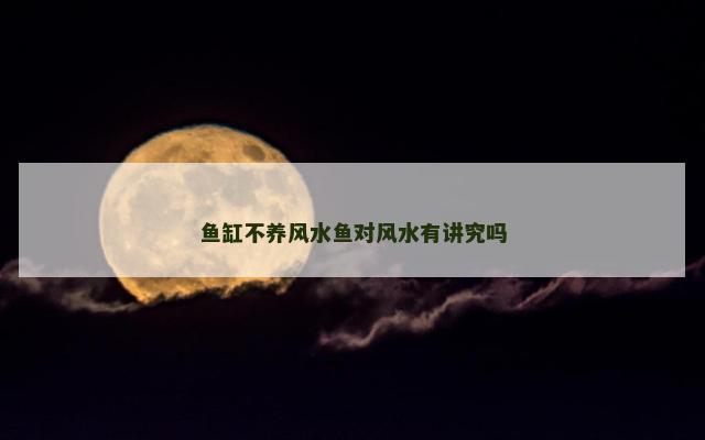 鱼缸不养风水鱼对风水有讲究吗