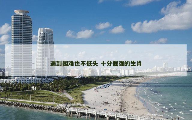 遇到困难也不低头 十分倔强的生肖