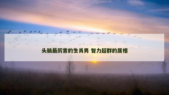 头脑最厉害的生肖男 智力超群的属相
