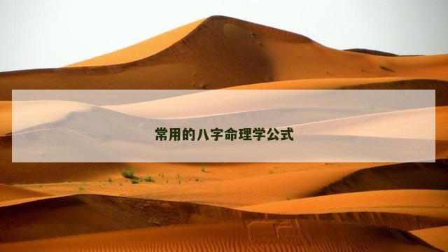 常用的八字命理学公式