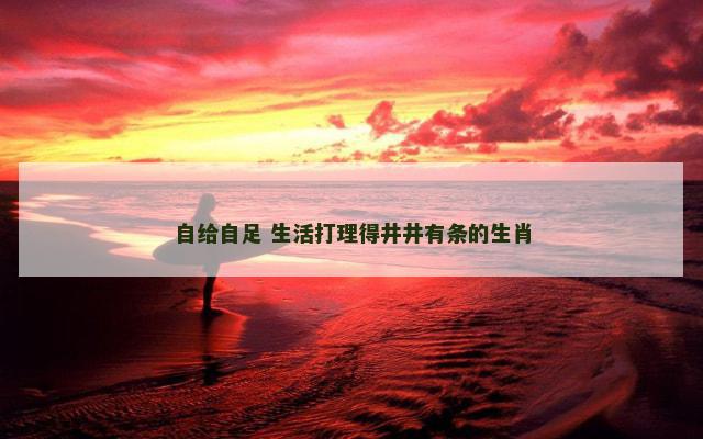 自给自足 生活打理得井井有条的生肖