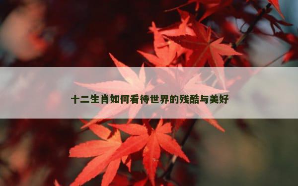 十二生肖如何看待世界的残酷与美好