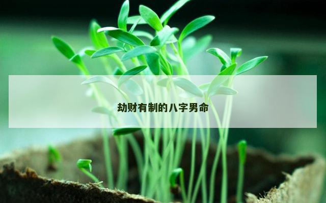 劫财有制的八字男命