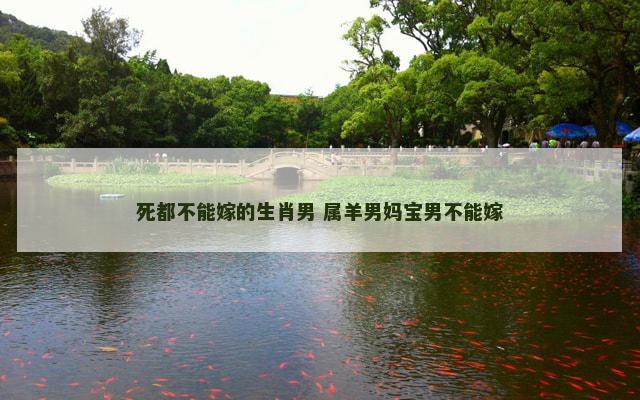 死都不能嫁的生肖男 属羊男妈宝男不能嫁