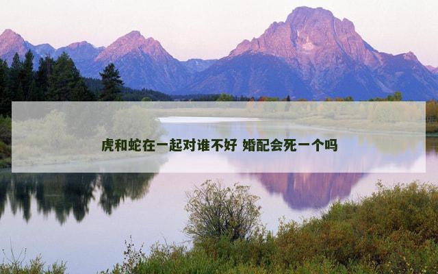 虎和蛇在一起对谁不好 婚配会死一个吗