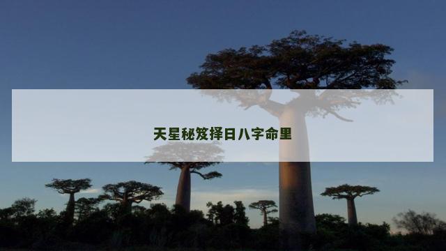 天星秘笈择日八字命里