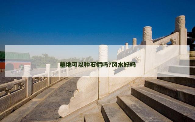 墓地可以种石榴吗?风水好吗