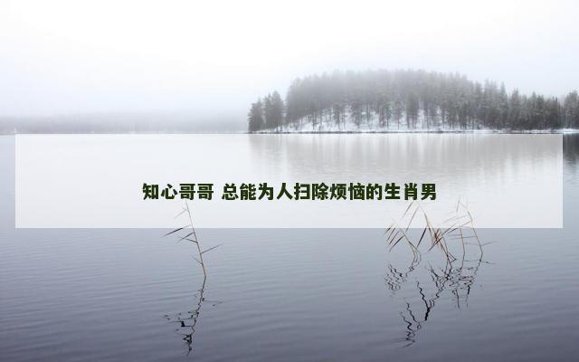 知心哥哥 总能为人扫除烦恼的生肖男