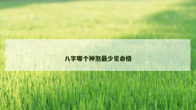 八字哪个神煞最少见命格