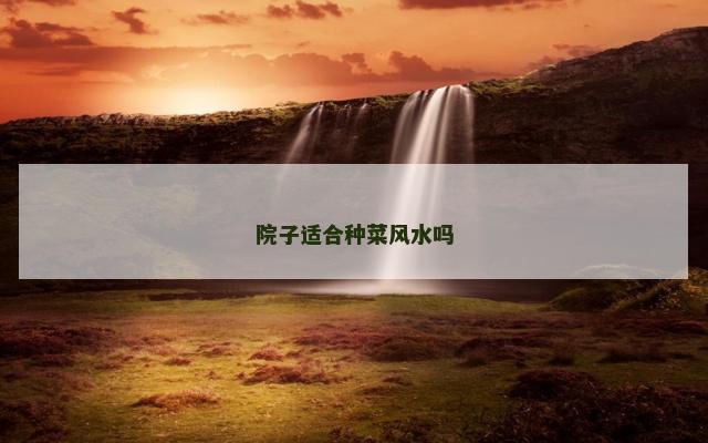 院子适合种菜风水吗