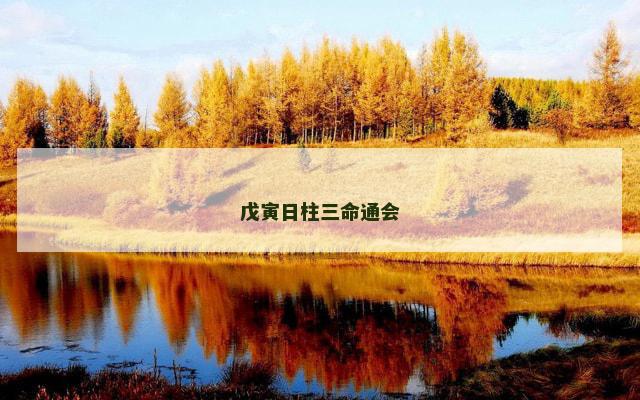戊寅日柱三命通会