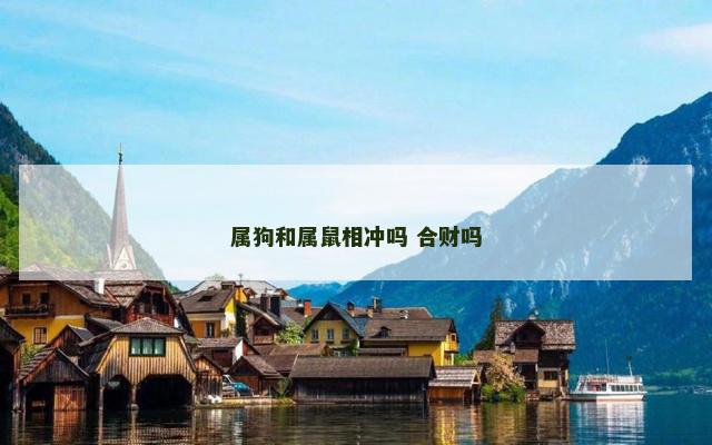 属狗和属鼠相冲吗 合财吗