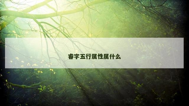 睿字五行属性属什么