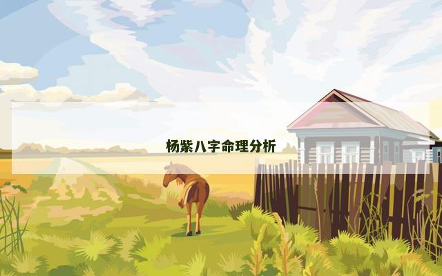 杨紫八字命理分析