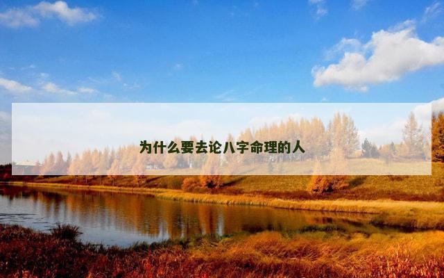 为什么要去论八字命理的人