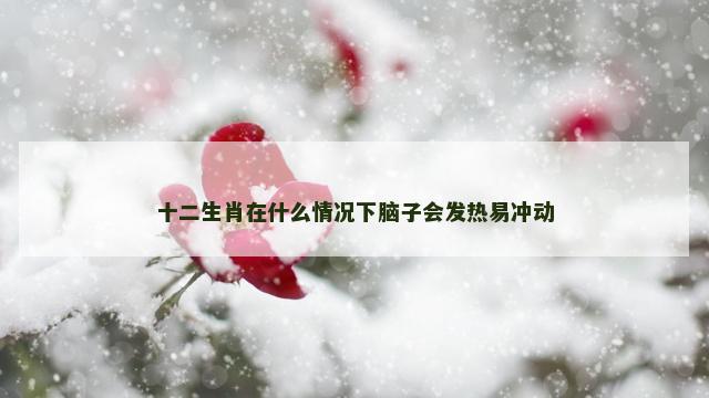 十二生肖在什么情况下脑子会发热易冲动