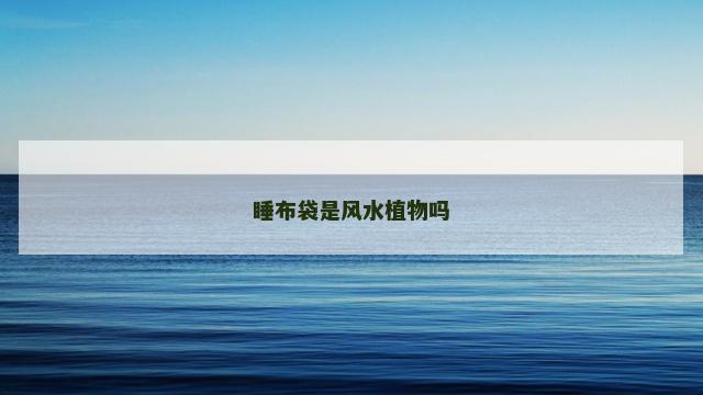 睡布袋是风水植物吗