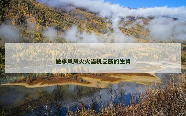 做事风风火火当机立断的生肖