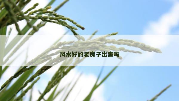 风水好的老房子出售吗