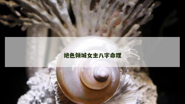 绝色倾城女主八字命理