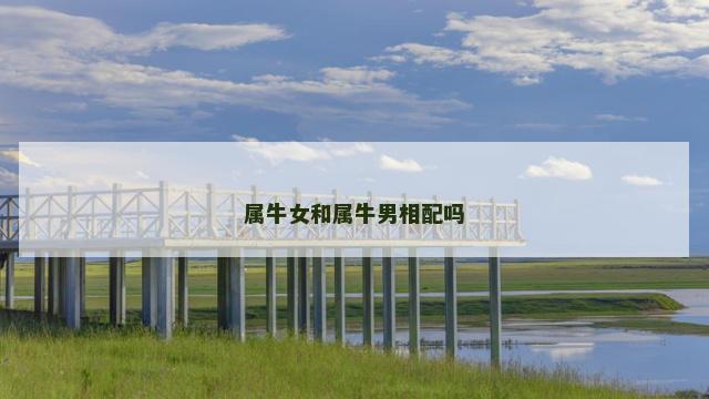 属牛女和属牛男相配吗